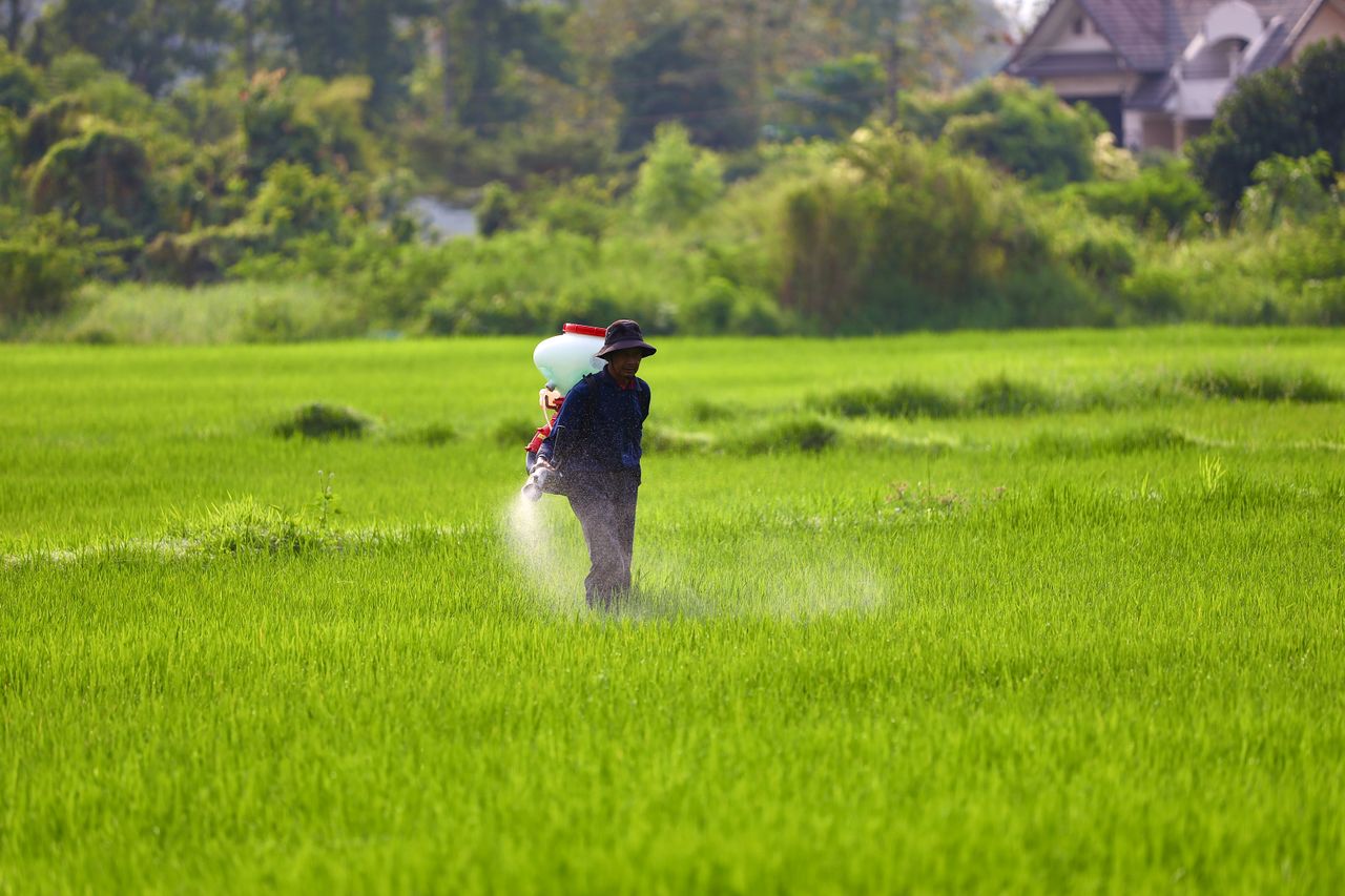Dosage glyphosate pour 5 L d’eau